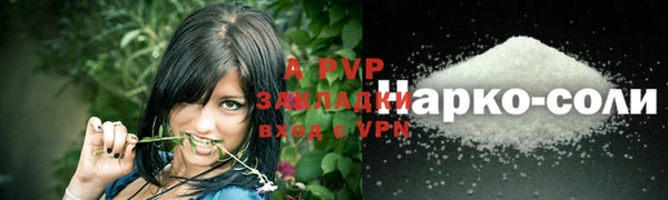 индика Пролетарск