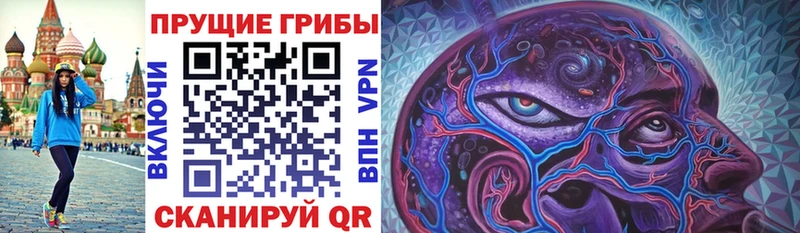 blacksprut зеркало  Туймазы  Галлюциногенные грибы прущие грибы 