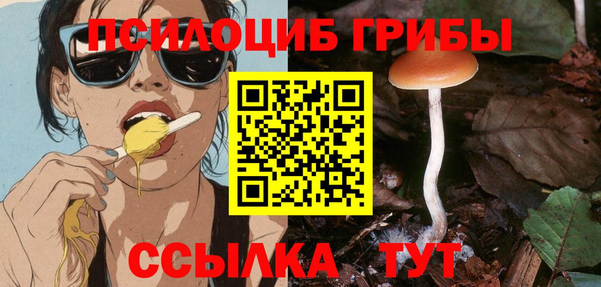 Туймазы  Галлюциногенные грибы Psilocybe  что такое наркотик  Вход с VPN 