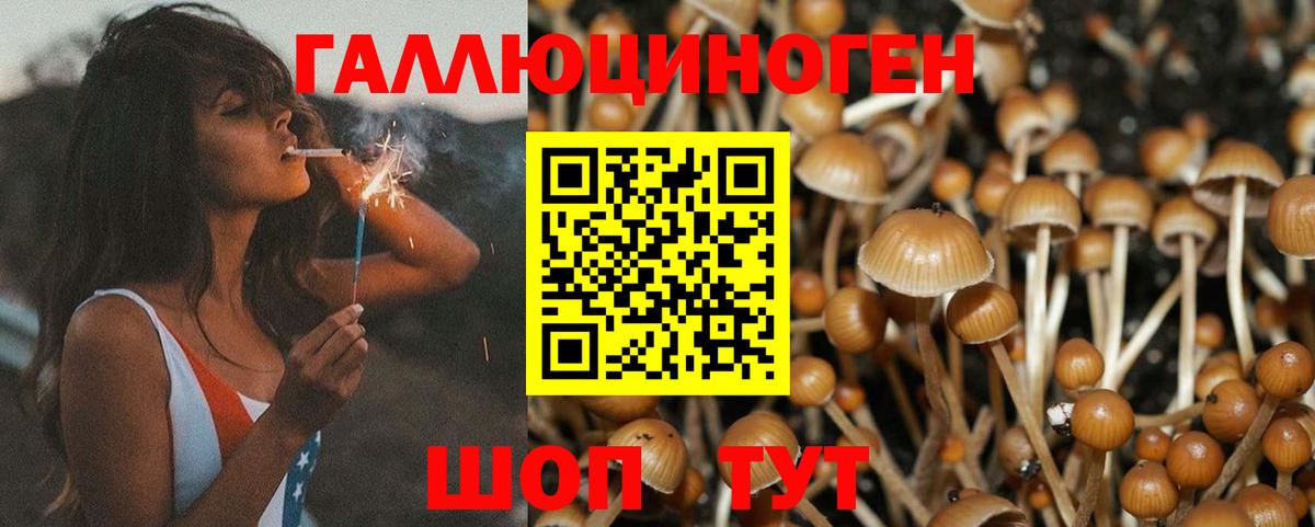 Псилоцибиновые грибы GOLDEN TEACHER  Галлюциногенные грибы Magic Shrooms  Туймазы 