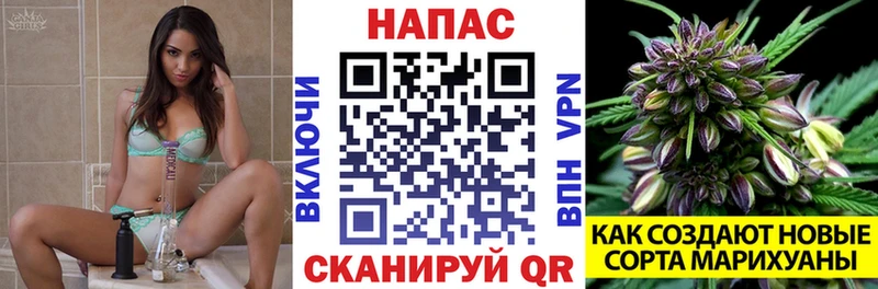 Шишки марихуана Bruce Banner  omg вход  Туймазы 